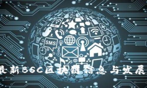 2023年最新BSC区块链信息与发展趋势分析