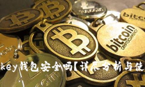 Im Tokey钱包安全吗？详尽分析与使用指南
