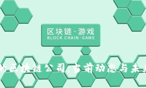 币圈的区块链公司：当前动态与未来趋势