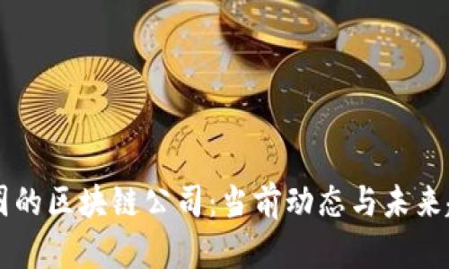 币圈的区块链公司：当前动态与未来趋势