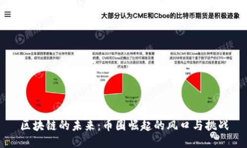 区块链的未来：币圈崛起的风口与挑战