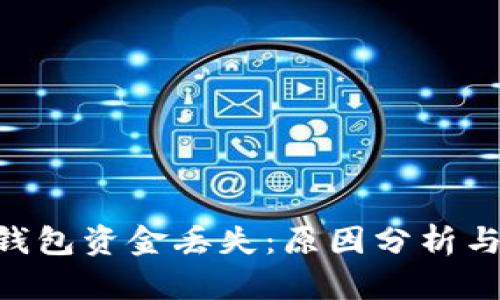 Tokenim钱包资金丢失：原因分析与解决方案