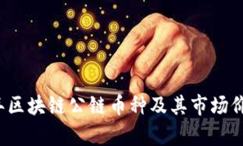 2023年区块链公链币种及其市场价值分析