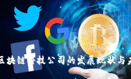 比特币区块链科技公司的发展现状与未来前景